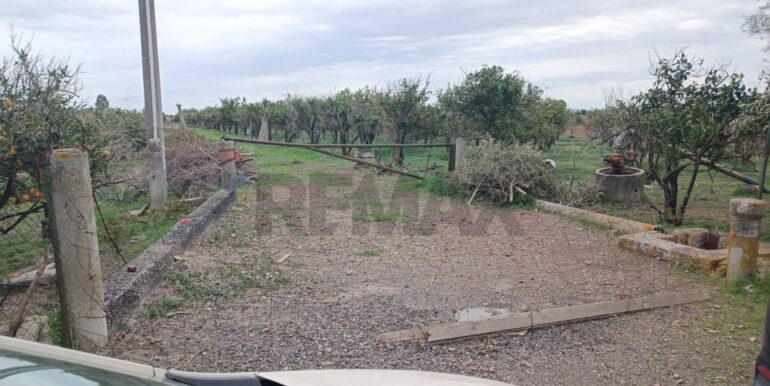 2025123175303-1013177-14