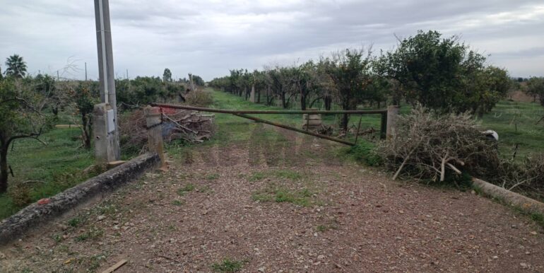 2025123175305-1013177-15