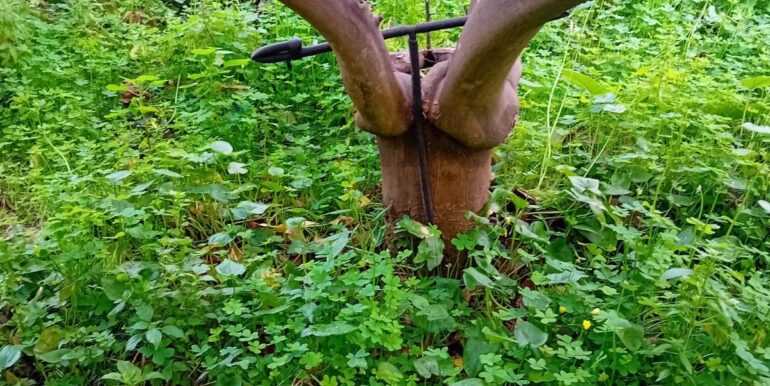 20260102124035-1013234-2