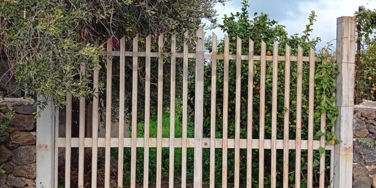 20260102124035-1013234-3