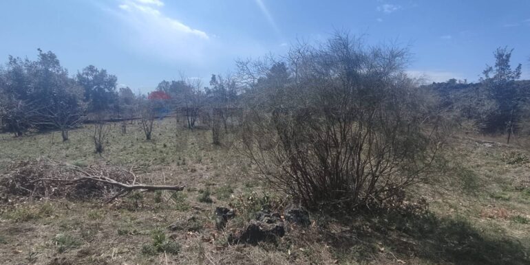 2026010282212-1013211-1