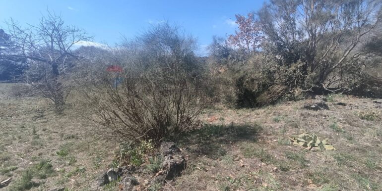 2026010282213-1013211-3