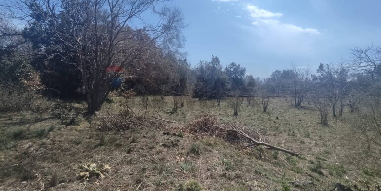 2026010282213-1013211-4