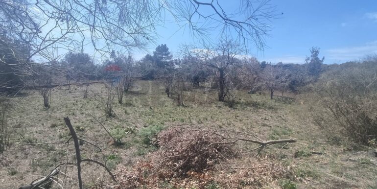 2026010282214-1013211-6