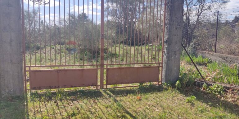 2026010282215-1013211-10