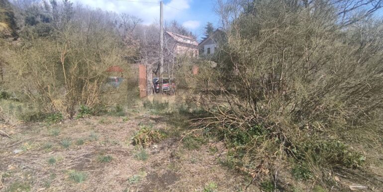 2026010282215-1013211-11