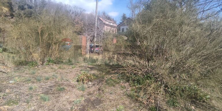 2026010282215-1013211-9