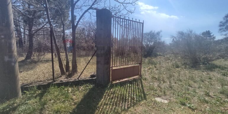 2026010282216-1013211-12