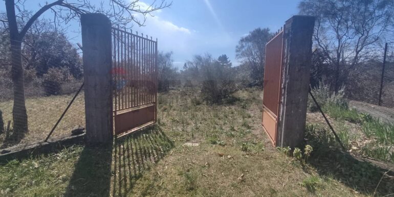 2026010282216-1013211-13