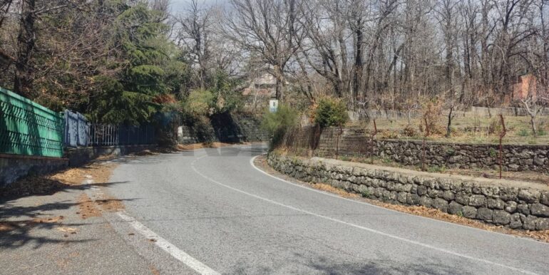 2026010282217-1013211-16