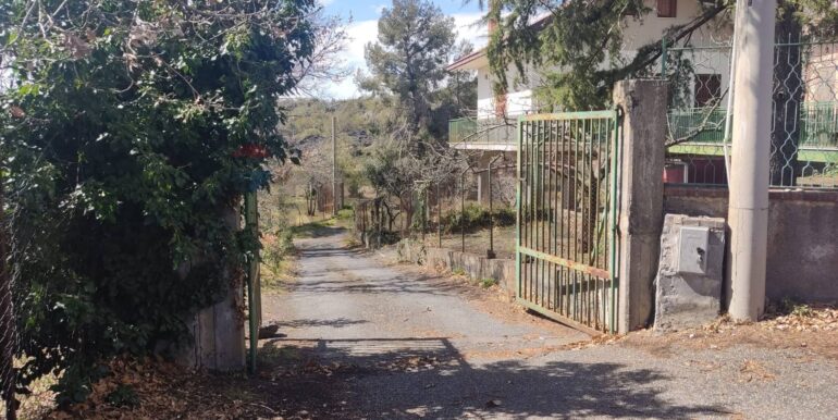 2026010282217-1013211-17