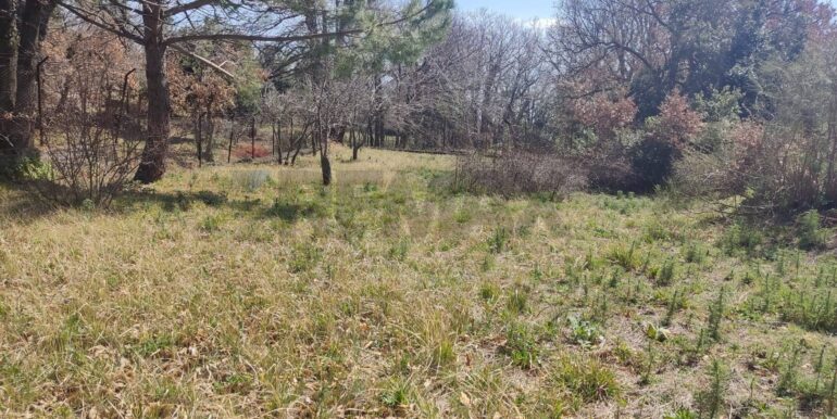 2026010282218-1013211-18