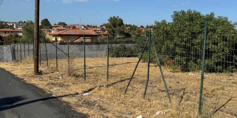 20260103124654-1013281-0