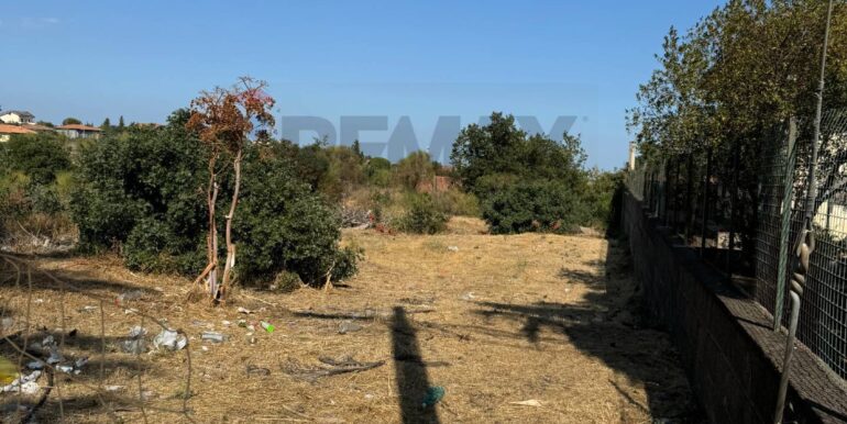 20260103124655-1013281-2