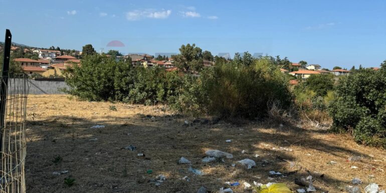 20260103124655-1013281-3