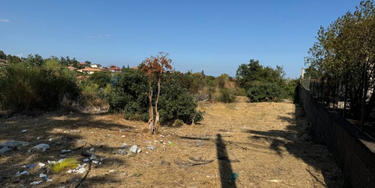 20260103124656-1013281-4