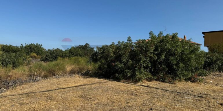 20260103124656-1013281-5