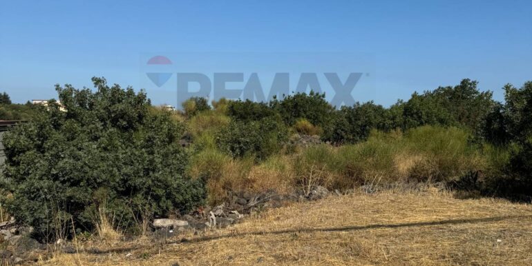 20260103124656-1013281-6