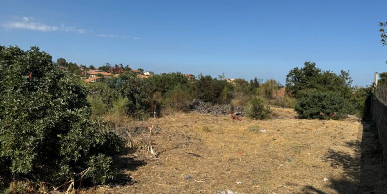 20260103124657-1013281-9