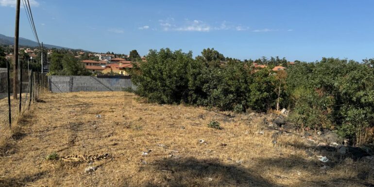 20260103124658-1013281-12