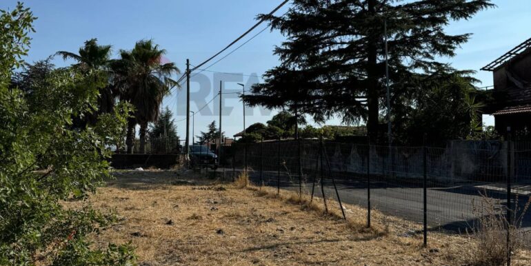 20260103124658-1013281-13