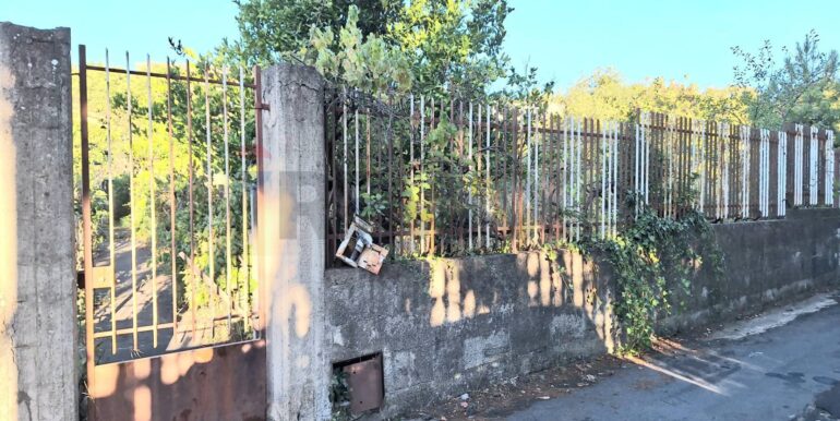 20260105114216-1013366-3