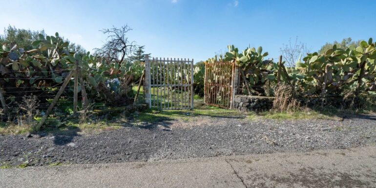 20260105133412-1013388-1