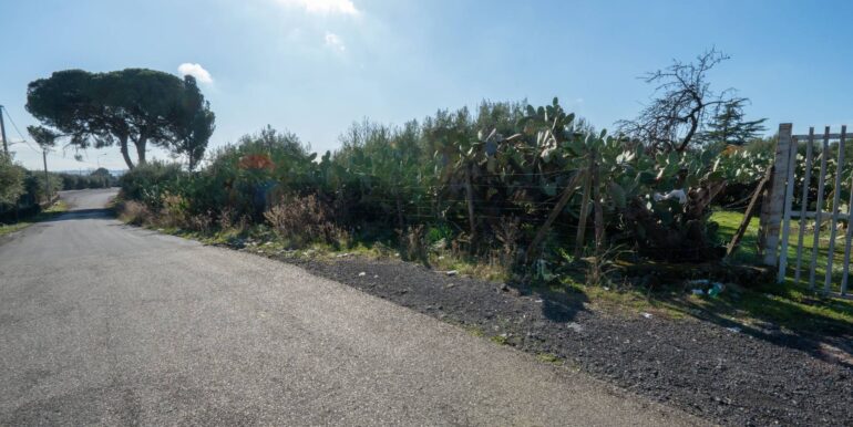 20260105133420-1013388-3