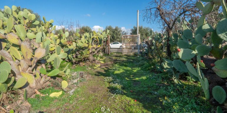 20260105133423-1013388-4