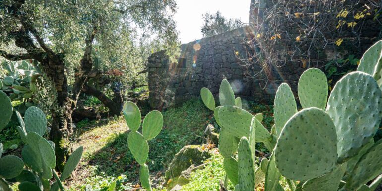 20260105133426-1013388-5