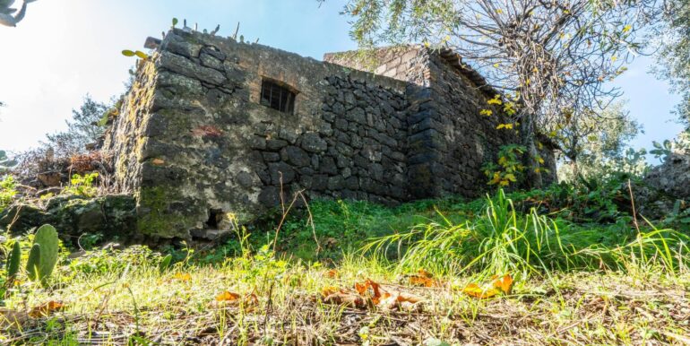 20260105133430-1013388-6