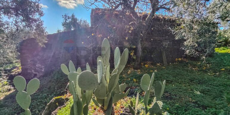 20260105133445-1013388-10