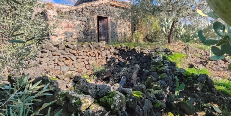 20260105133457-1013388-13