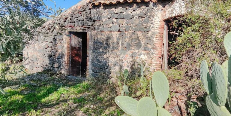 20260105133500-1013388-14