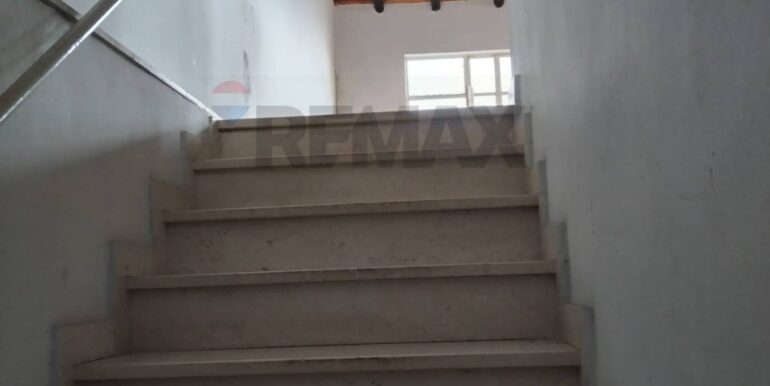 2026010592517-1013333-13