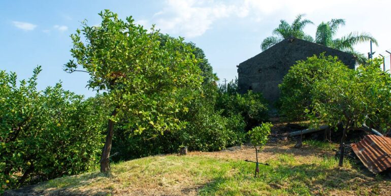 20260107115838-1013635-10