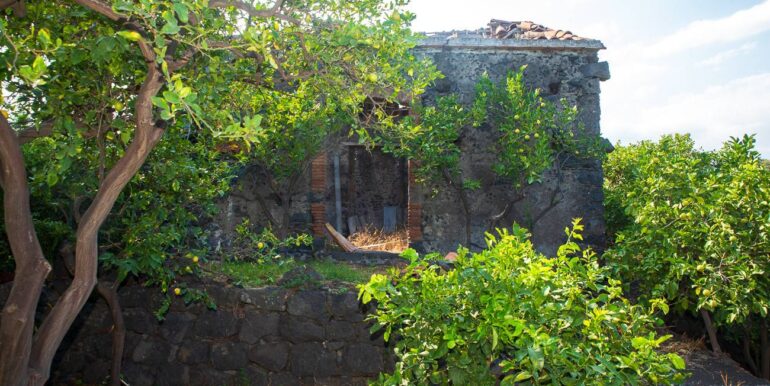 20260107115918-1013635-19