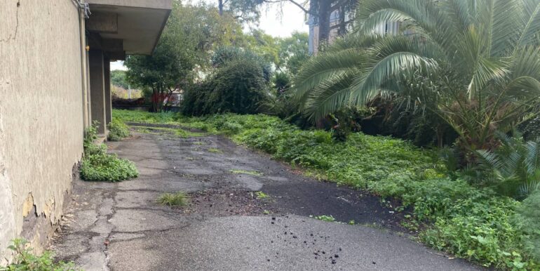 20260107163042-1013715-5