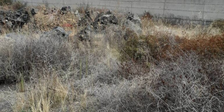 20260107205339-1013884-1