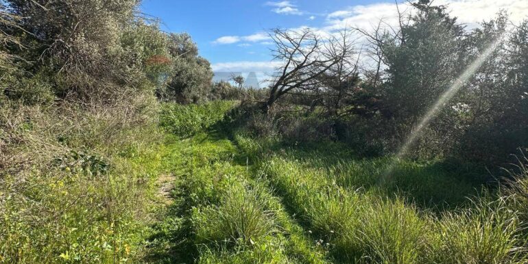 20260108122015-1013719-14