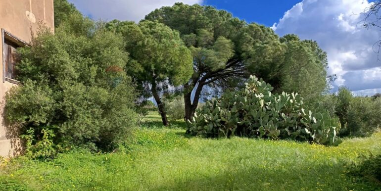 20260108145934-1014321-3