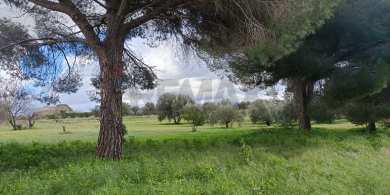 20260108145955-1014321-10