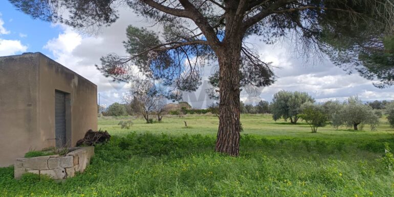 20260108145959-1014321-11