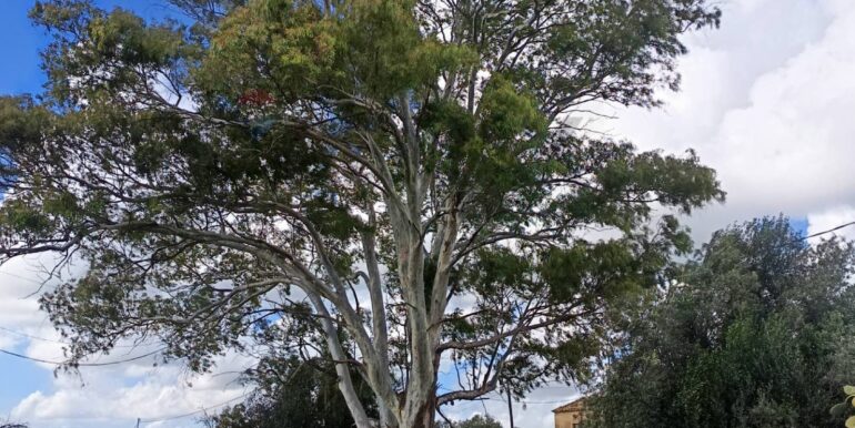 20260108150006-1014321-13