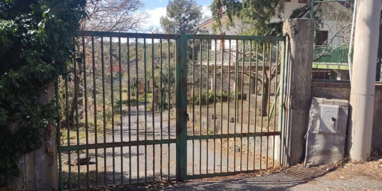 2026010883941014223627