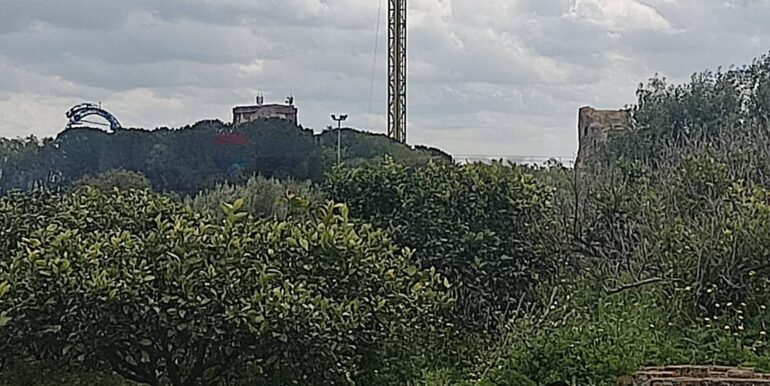 2026010883948013855921