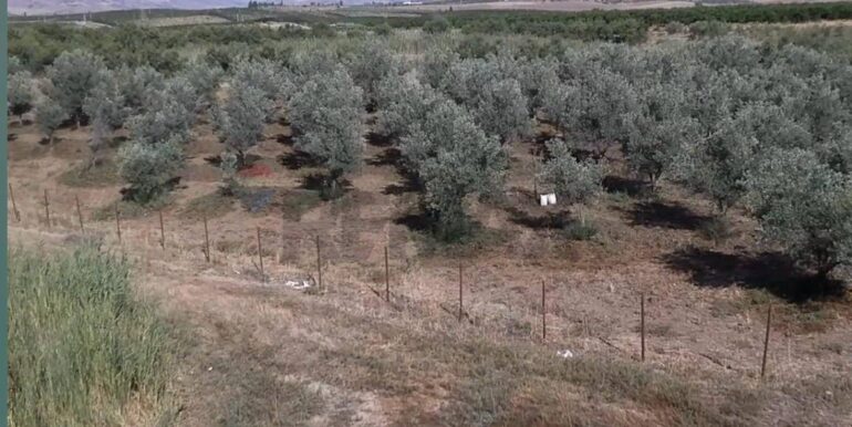 2026010883948013895471