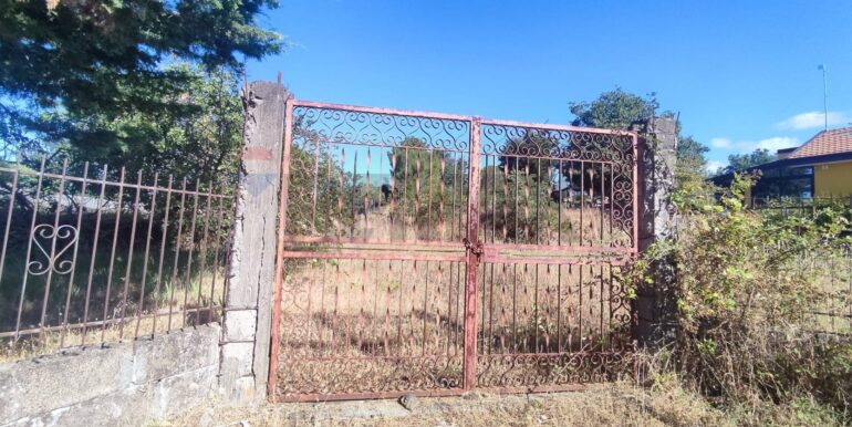 2026010883953013532419