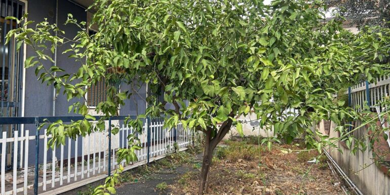 2026010884034011798473