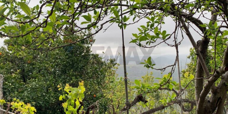 20260109100100-1014458-9